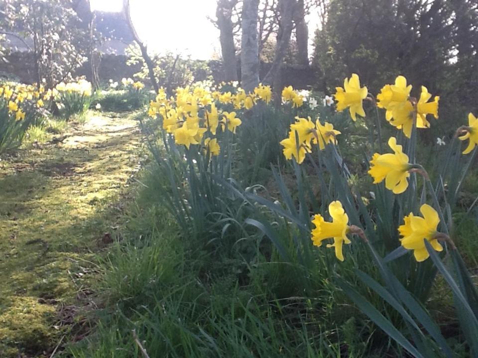 Highfield Cottage Kirknewton  Esterno foto